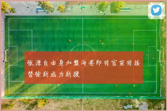 张源自由身加盟海港即将官宣将接替徐新成为新援