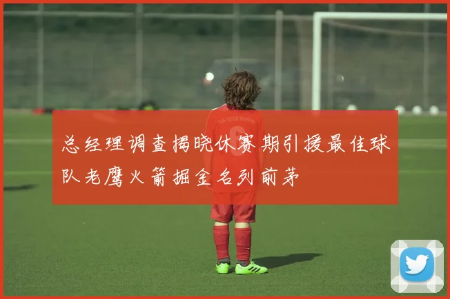总经理调查揭晓休赛期引援最佳球队老鹰火箭掘金名列前茅