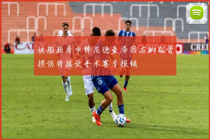 快船新秀中锋尼德豪泽因右脚跖骨损伤将接受手术赛季报销