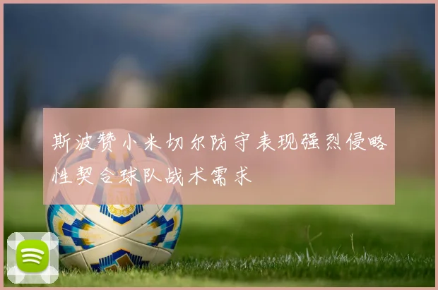 斯波赞小米切尔防守表现强烈侵略性契合球队战术需求