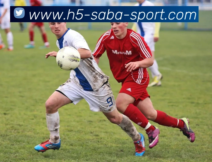 App Interface Preview